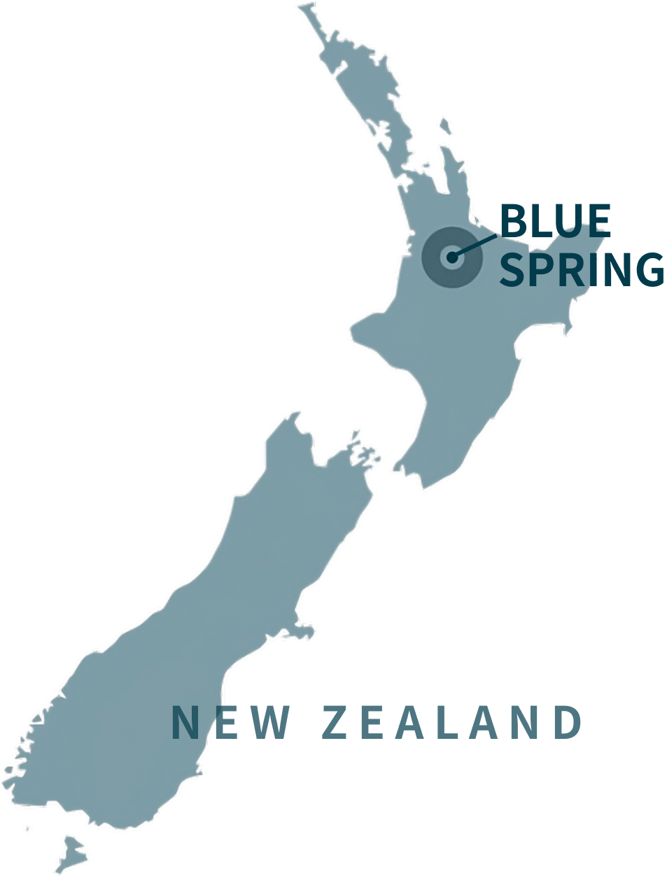 Blue Spring is located in Te Waihou River, Putaruru, North Island, New Zealand