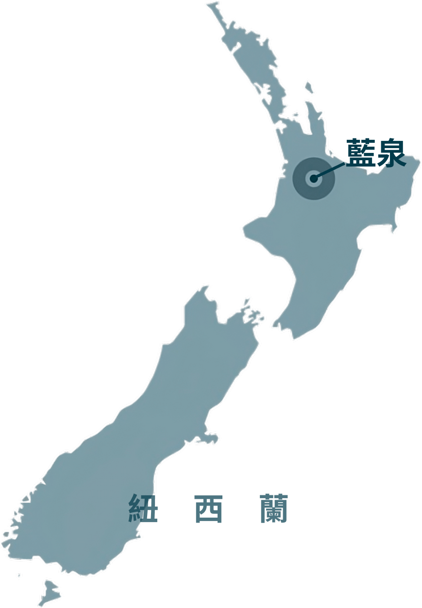 藍泉位於紐西蘭北部Putaruru的Te Waihou River
