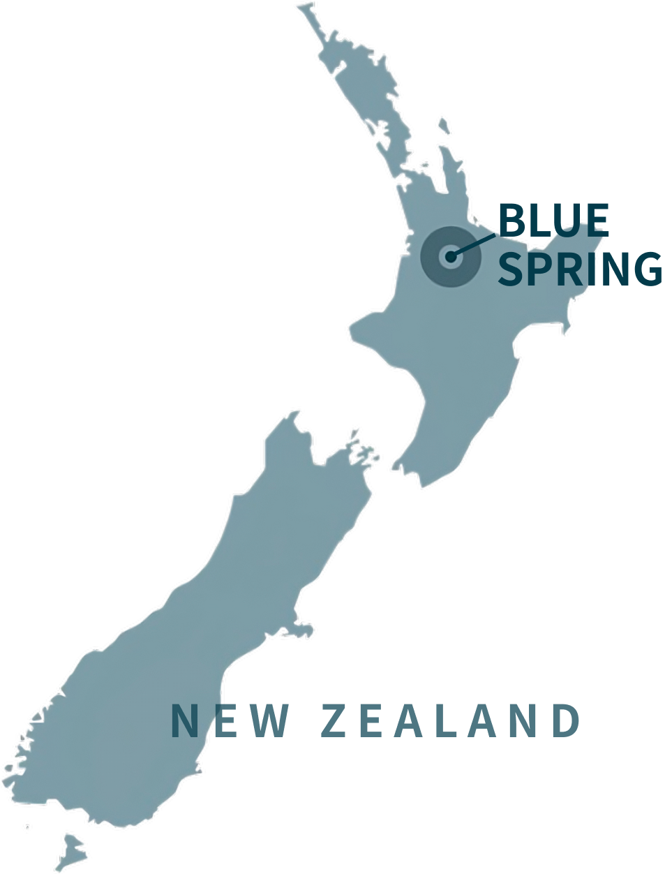 Blue Spring is located in Te Waihou River, Putaruru, North Island, New Zealand